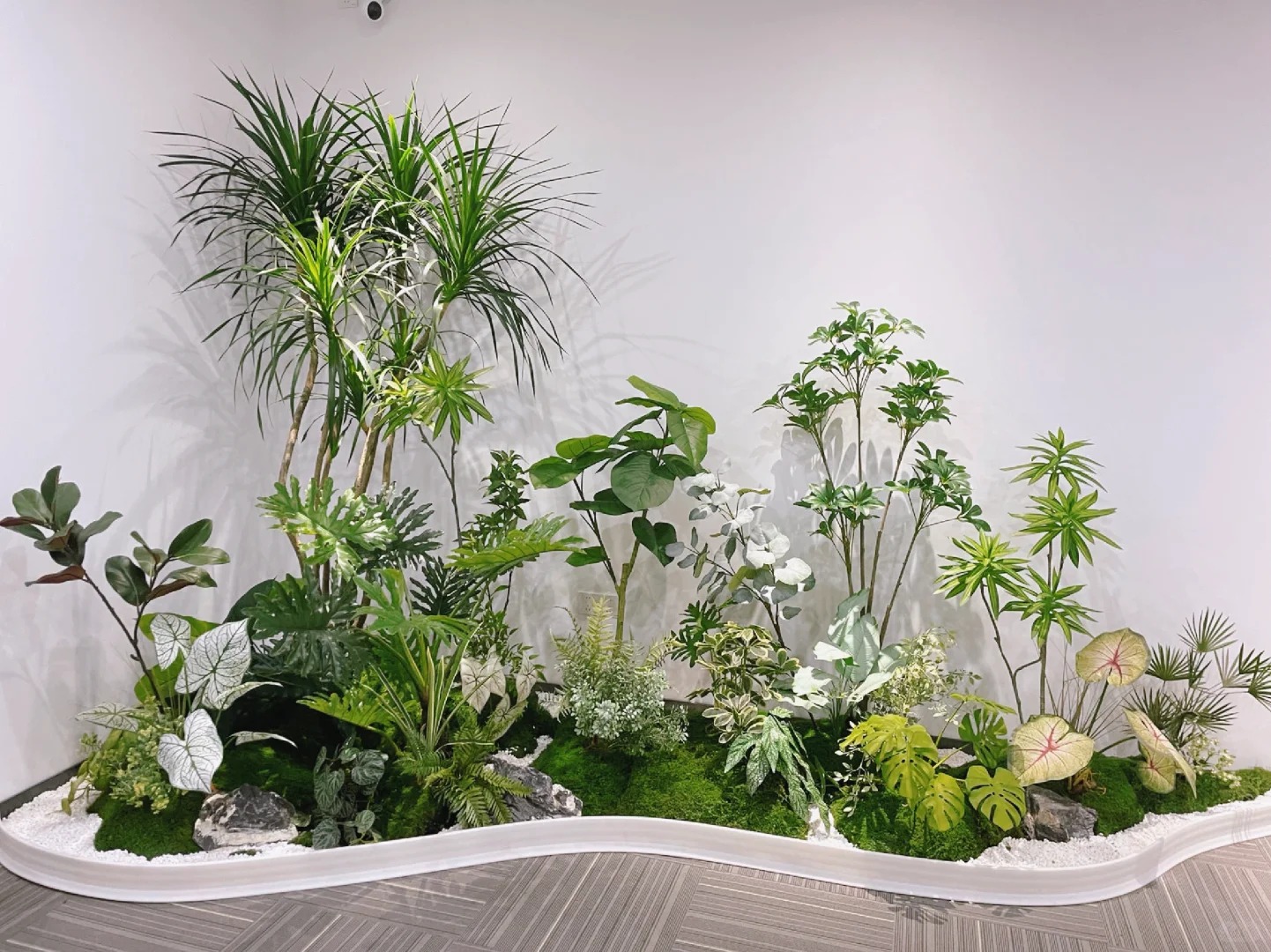 专业花卉租摆，畅享宁波慈溪的清新绿意